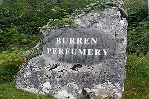 Burren Perfumery